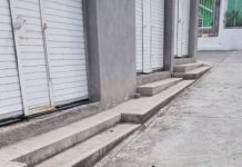 En Michoacán se reporta otro caso de envenamiento masivo de perros; animalistas exigen investigación