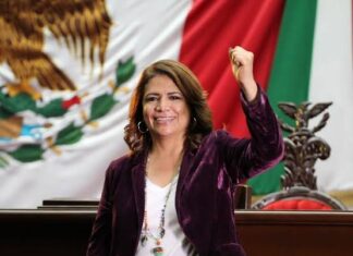 Nuevo Modelo de Salud de México beneficiará a pacientes con insuficiencia renal: Fabiola Alanís