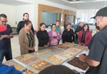Realizan taller de deshidratado de frutas con energía solar combinado con inteligencia artificial