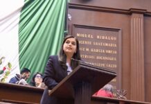 A establecer plan emergente migratorio, exhorta la diputada Tere Herrera
