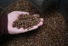 Sectur, Agricultura y Canaco Servytur emprenden campaña “Pide un café mexicano”