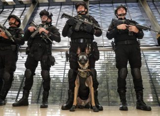 Binomios caninos de la Guardia Civil son aliados en el combate a la delincuencia: SSP