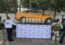 Operativo Blindaje Morelia asegura más de 57 kilos de mariguana